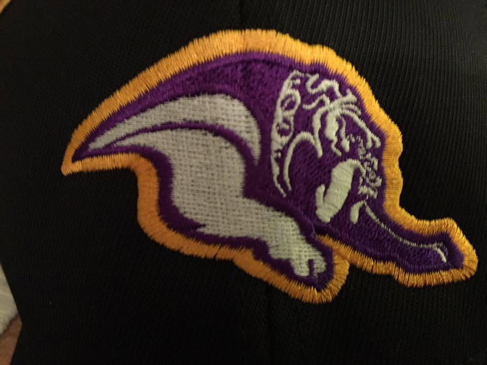 Close-up of an embroidered school mascot patch stitched in purple and gold thread
